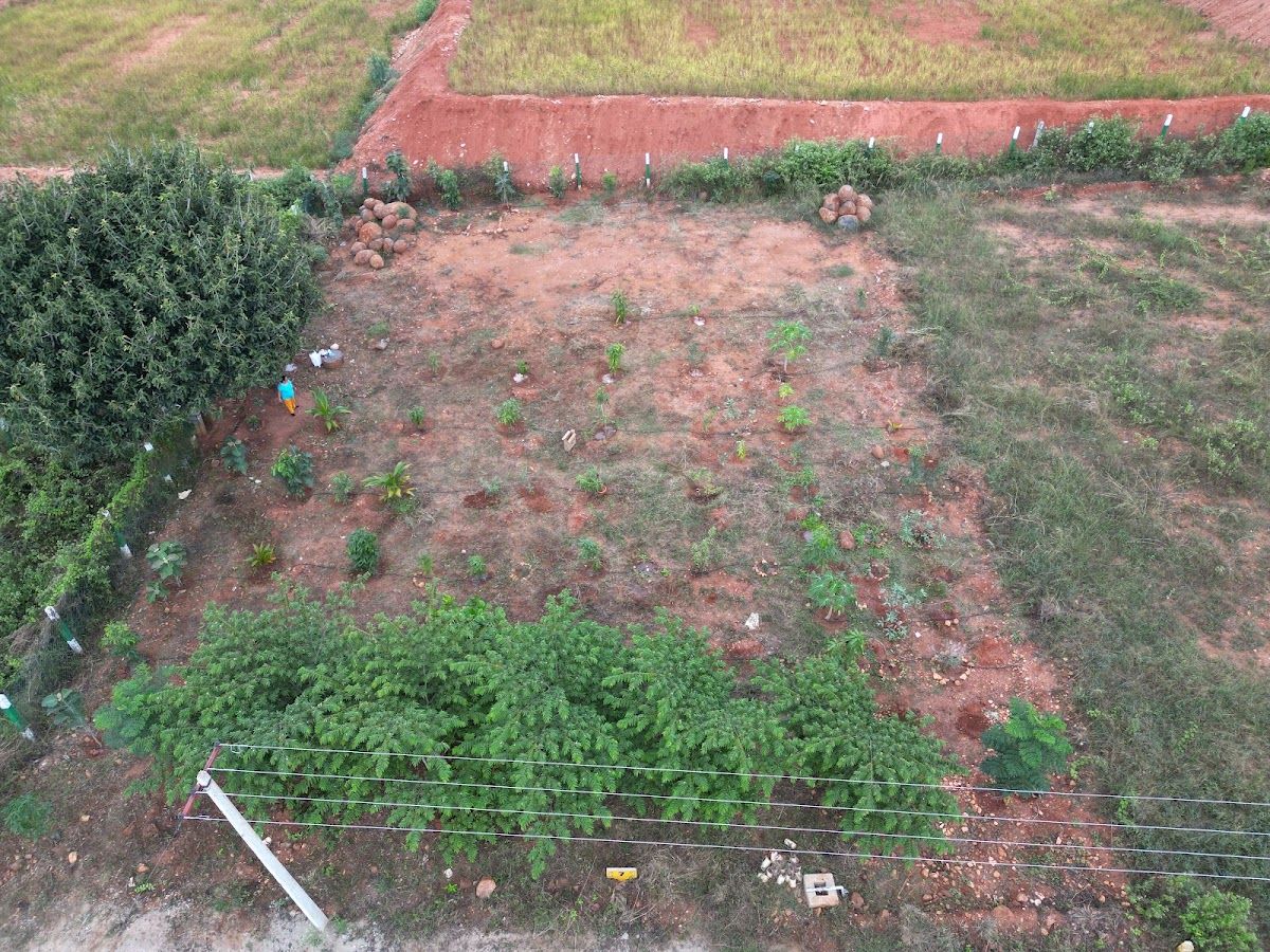 Gallery — Navishka Farms, Denkanikottai