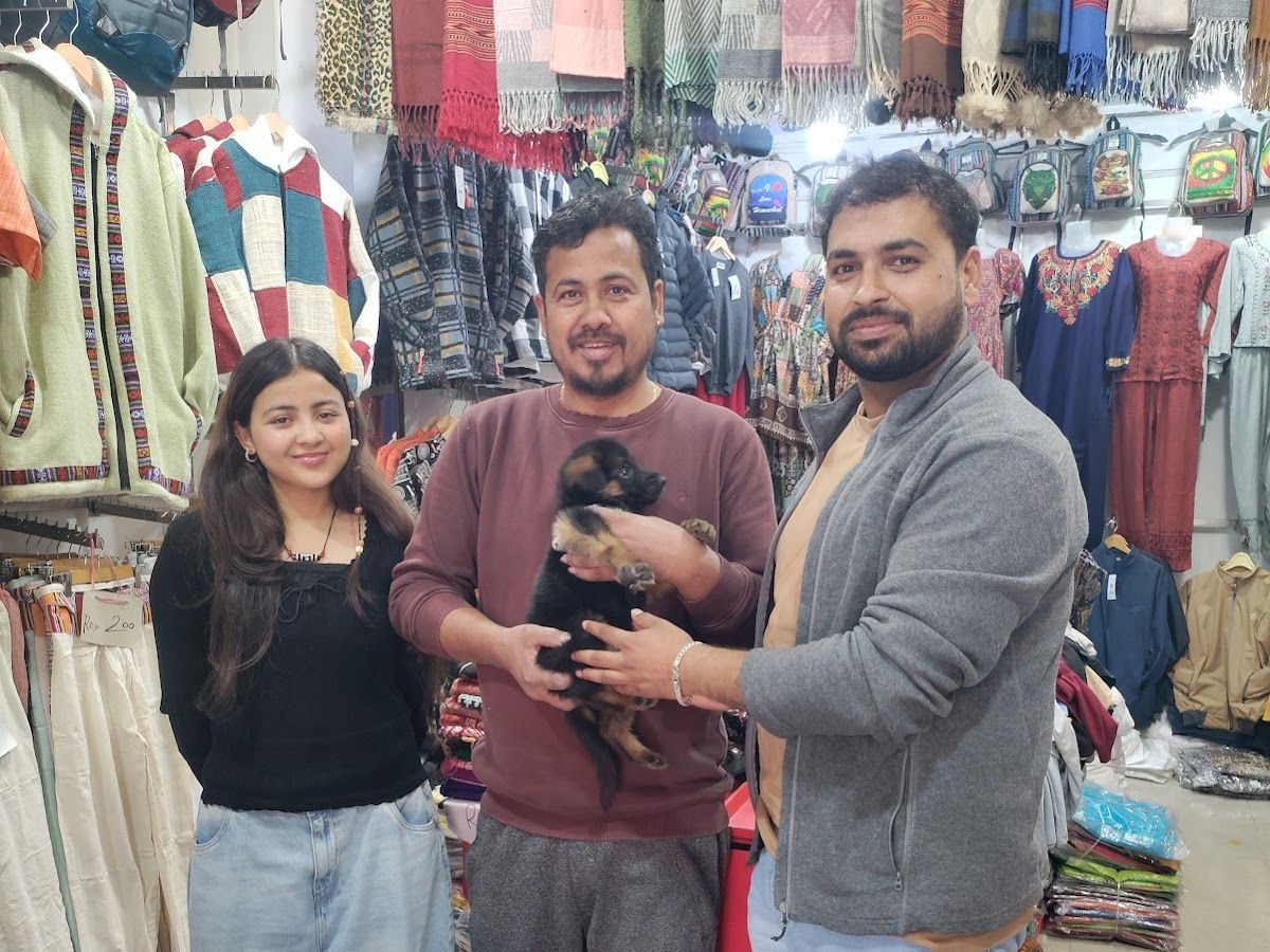 Gallery — Pet paradise dharamshala, Dharamshala