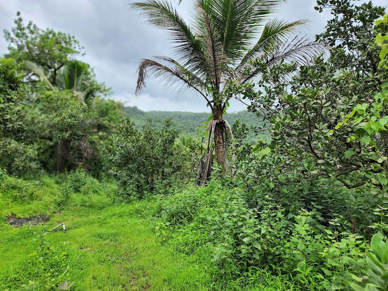 Gallery — Gajanan Farm House, Pawasalawadi