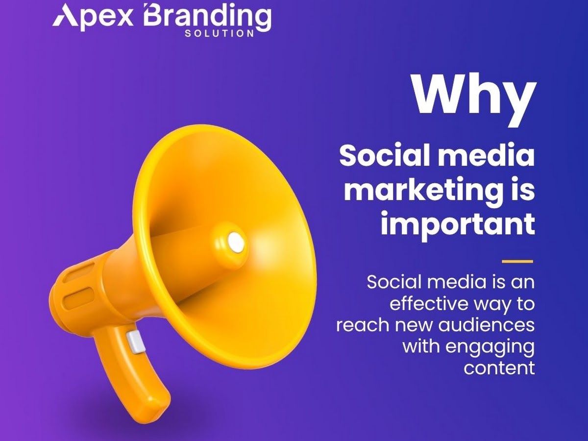 Gallery — Apex Branding Solution, Colonelganj, Kanpur
