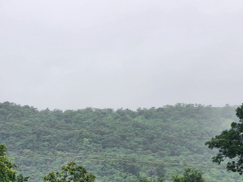 Gallery — THE HOMECOMING, Navandhe