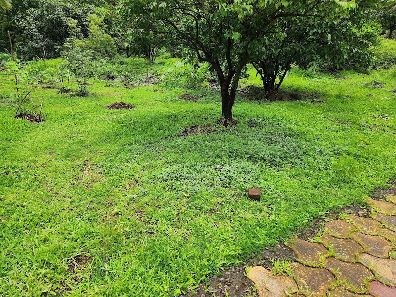 Gallery — Gajanan Farm House, Pawasalawadi