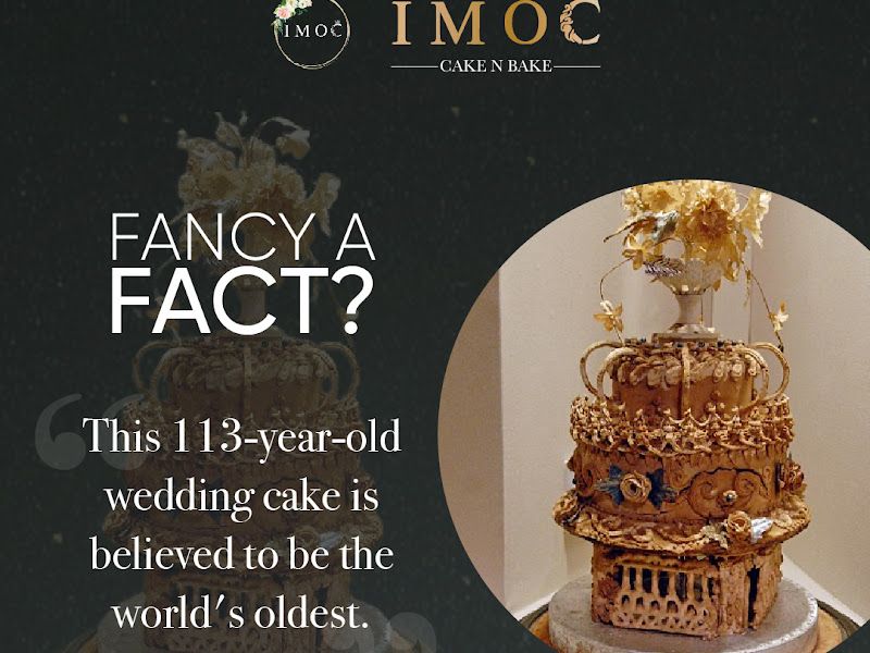Gallery — IMOC, Bhilwara