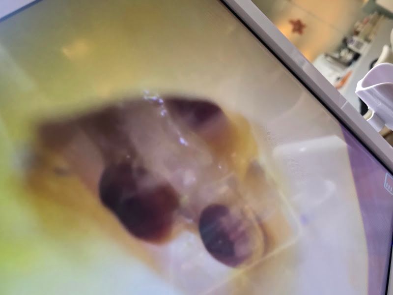 Gallery — Ffigurati Aesthetic and Dental Clinic, Nerul West, Wadhwa