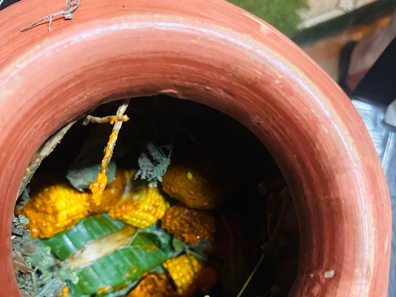 Gallery — LA Adenium Villa in Alibaug -Chaul, Chaul