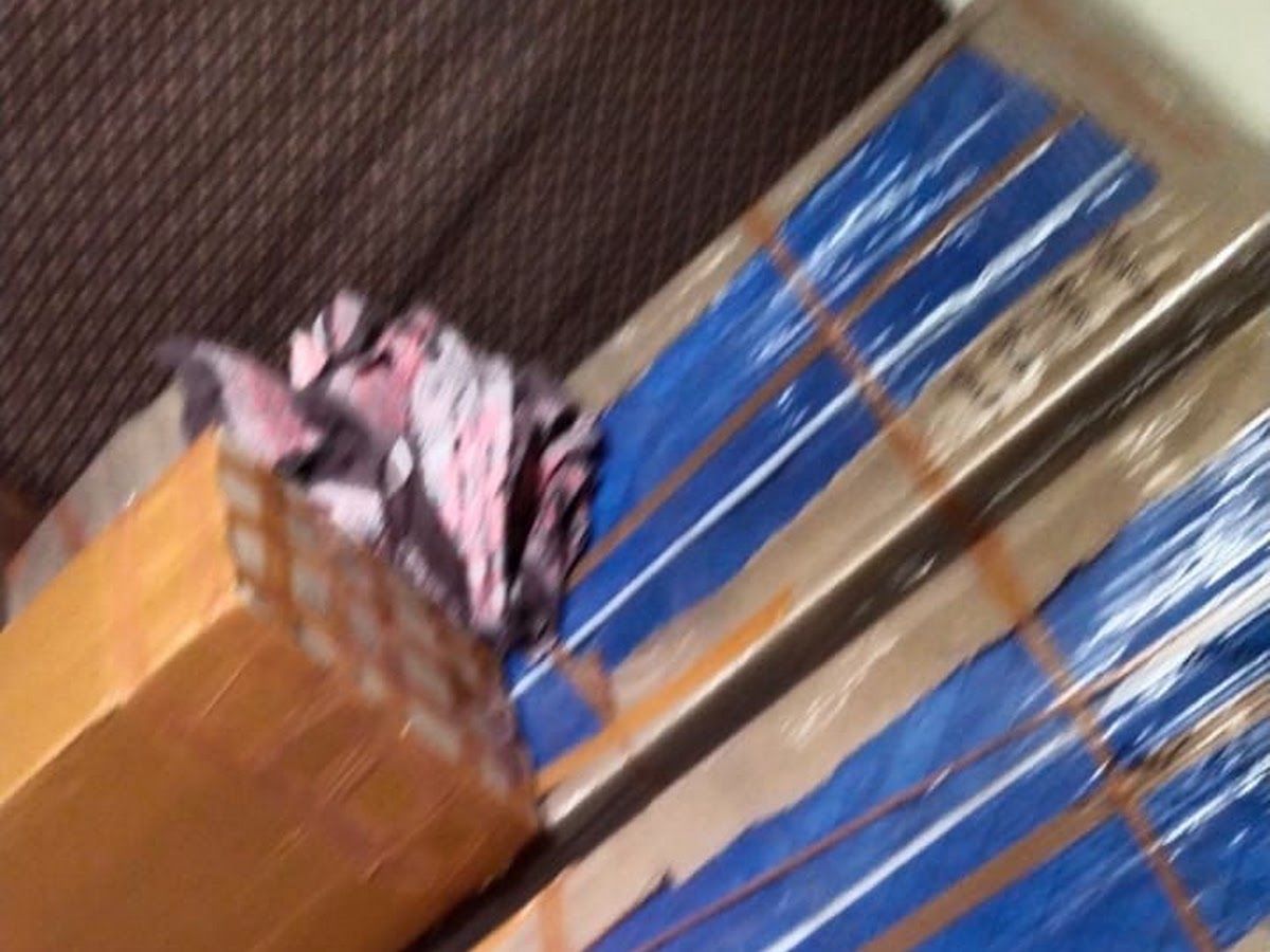 Gallery — Indian Cargo Packers And Movers, Shakti Nagar, Surat