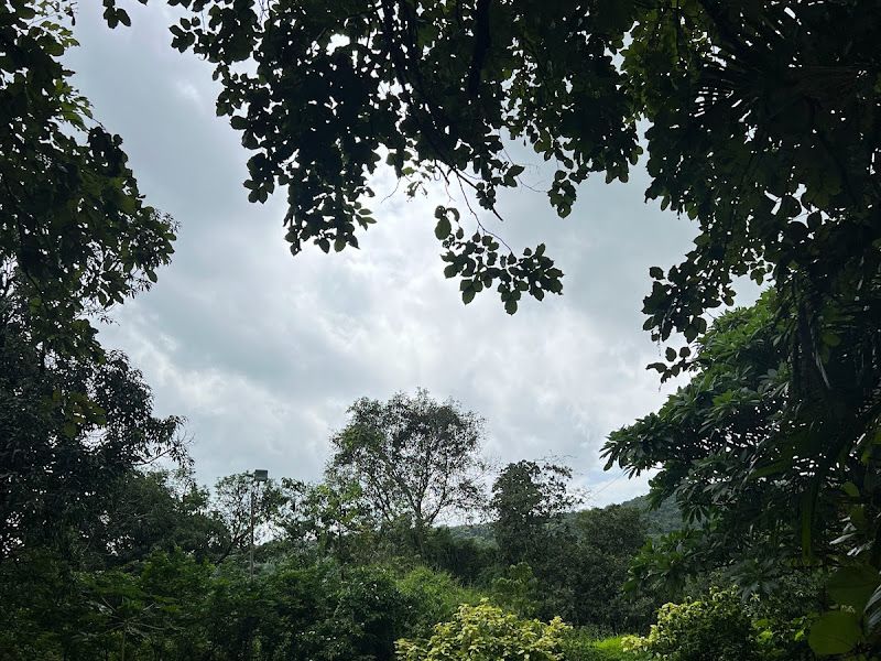 Exterior — THE HOMECOMING, Navandhe