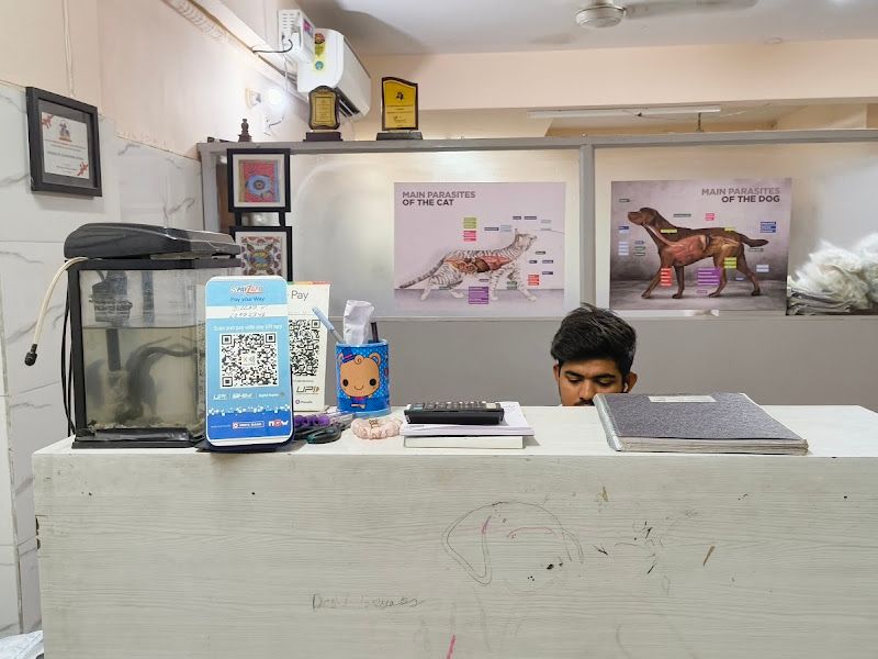 Gallery — Diagno V, Moti Gaon, New Delhi