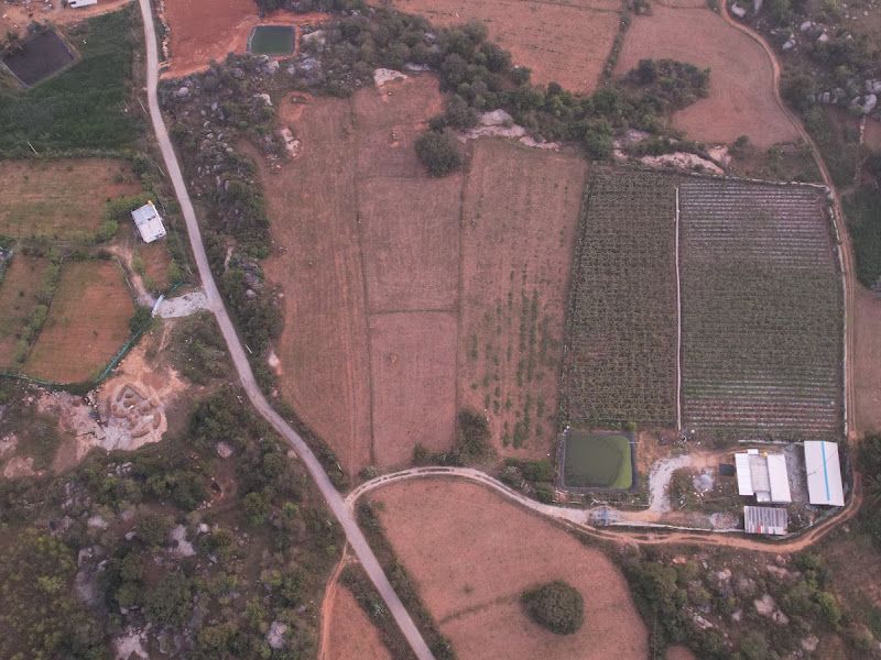 Gallery — JNS Farms-3, Masti