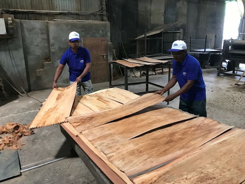 Gallery — Minhaz Impex | Shuttering Plywood in Raipur |, Mowa, Raipur