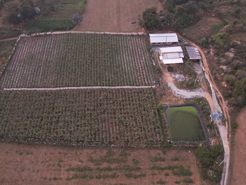 Gallery — JNS Farms-3, Masti