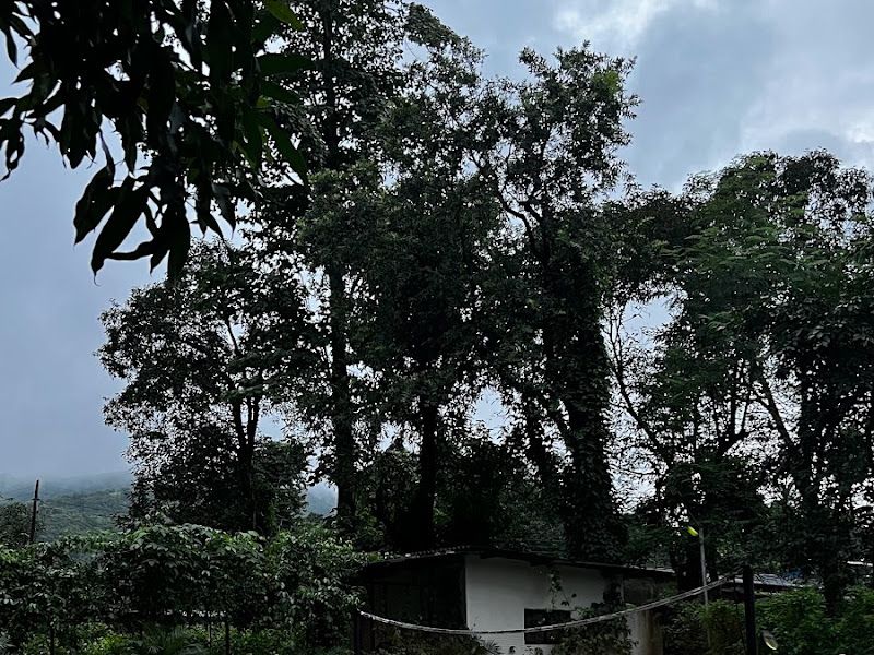 Exterior — THE HOMECOMING, Navandhe