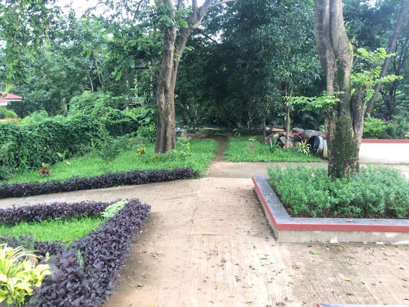 Gallery — THE HOMECOMING, Navandhe