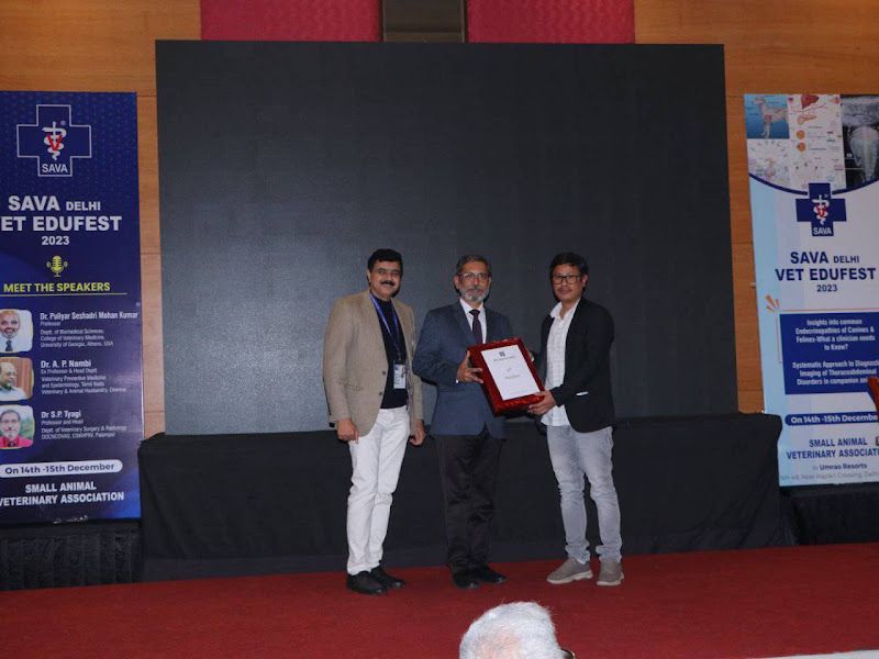 Gallery — Diagno V, Moti Gaon, New Delhi