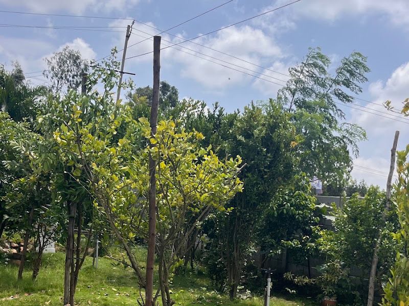 Exterior — SOLACE by JNS Farms, Ganiganahalli