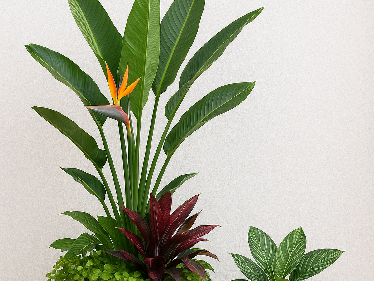 Premium planters paired with indoor plants at GreenTown Nursery