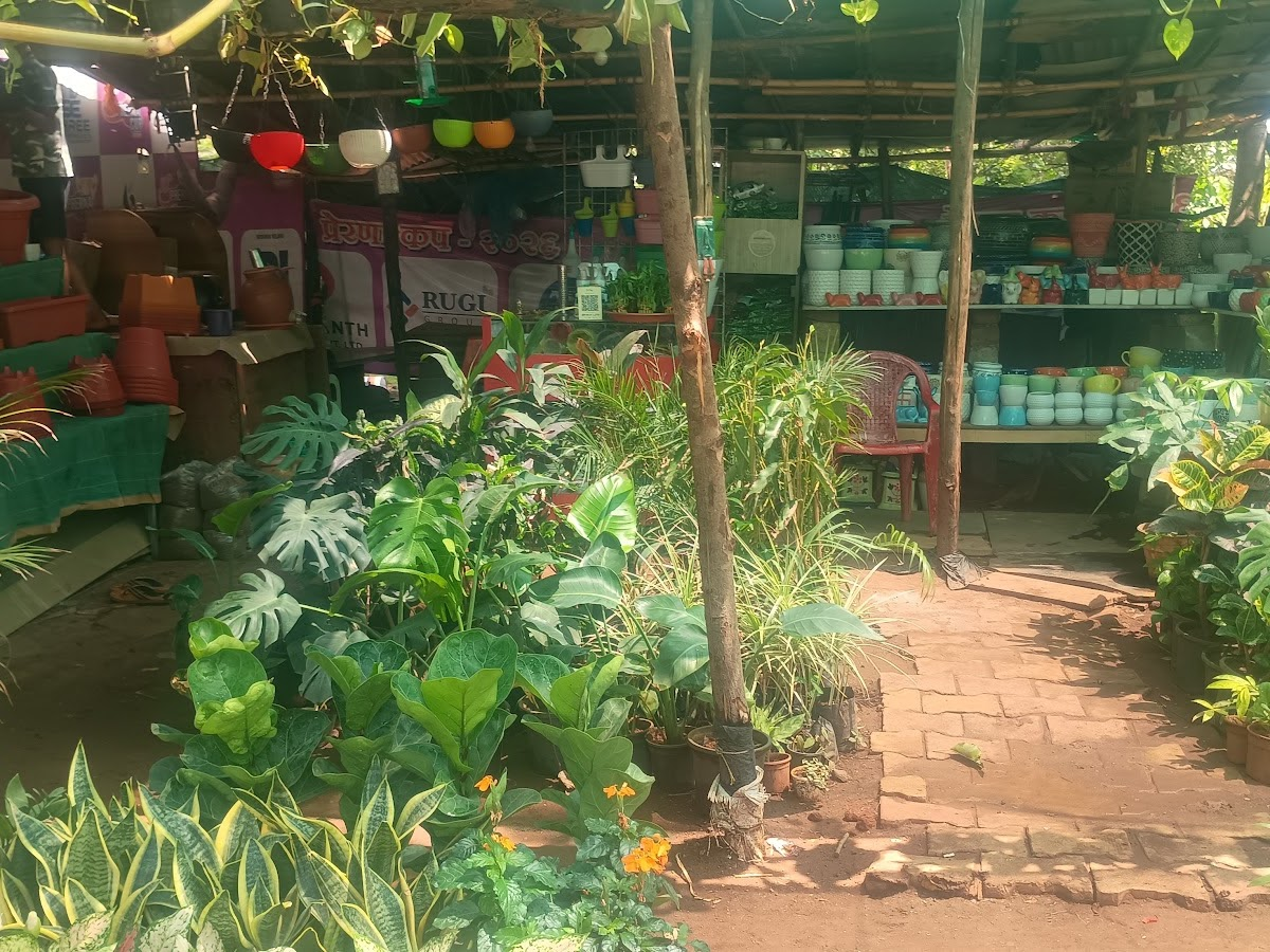 Row of potted greenery inside GreenTown Nursery