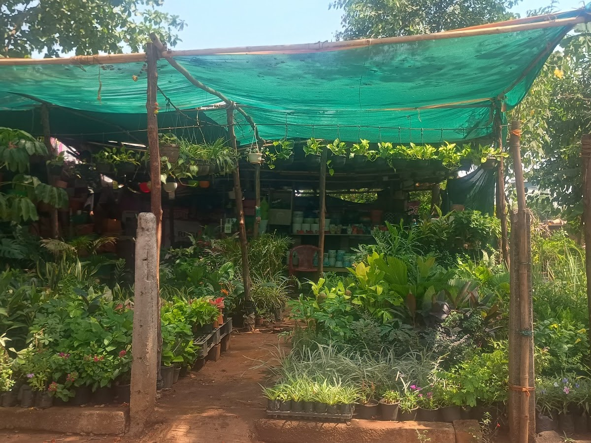 Flowering plants available at GreenTown Nursery Navi Mumbai