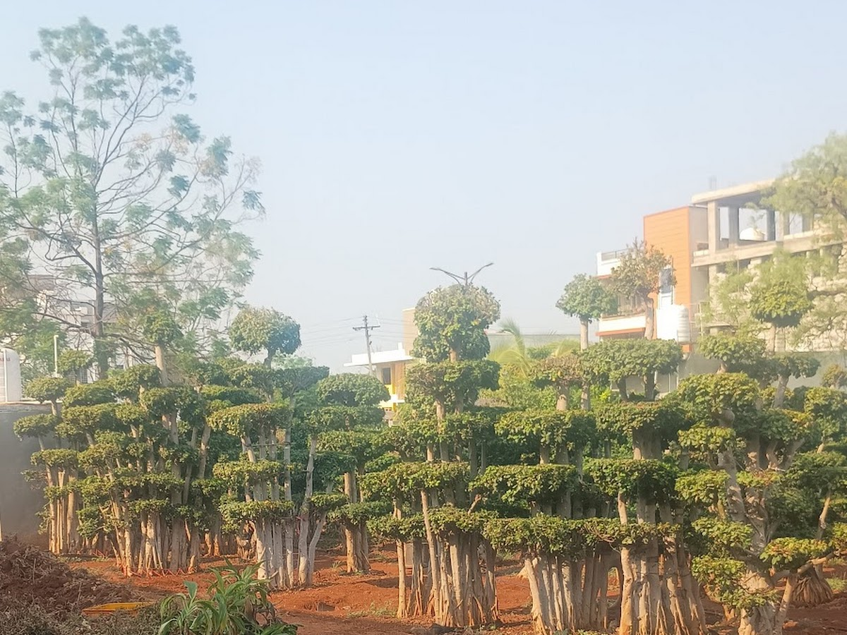Fertilizer and soil supplies at GreenTown Nursery