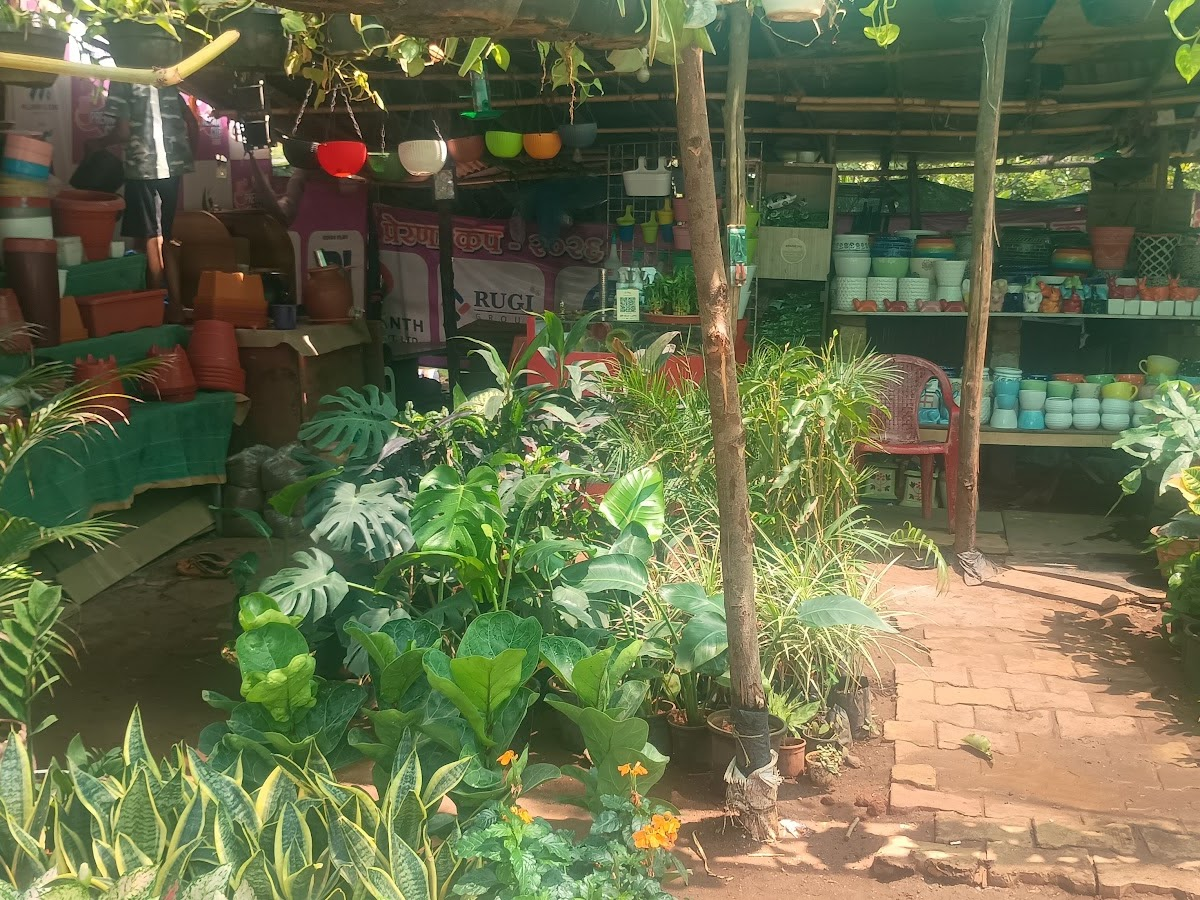 Outdoor and garden-ready plants at GreenTown Nursery Kamothe