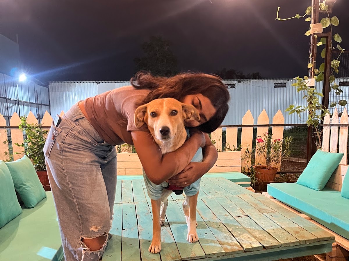 Green garden play zone for dogs at Petpals Club, Pune