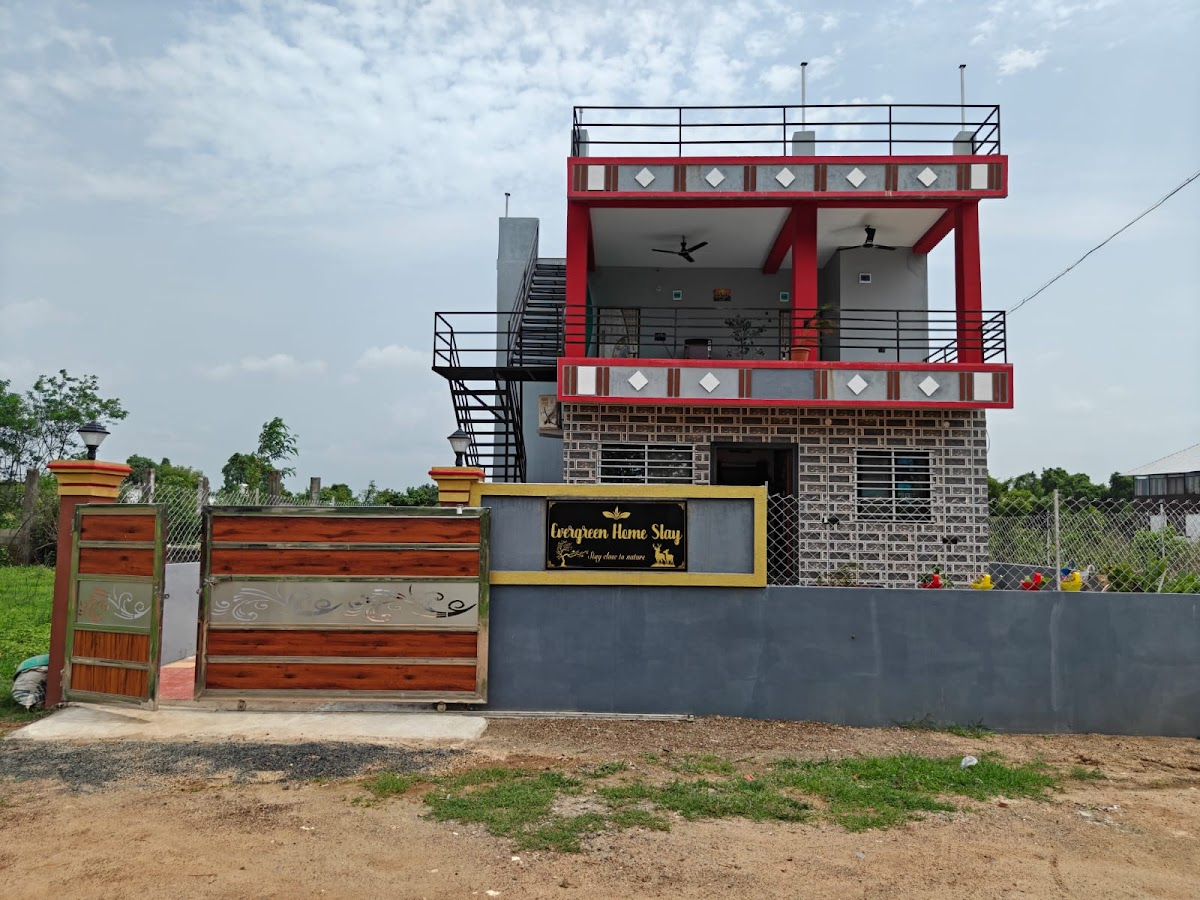 Exterior view of Evergreen Home Stay set among the woods near Tadoba